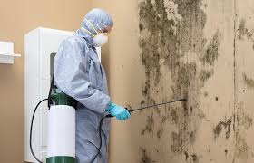 Best HVAC Mold Inspection and Cleaning  in Highland Beach, FL